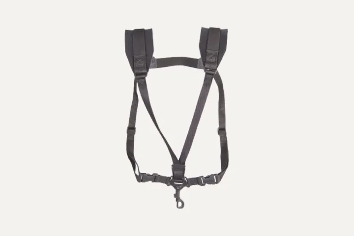 Harness.jpg